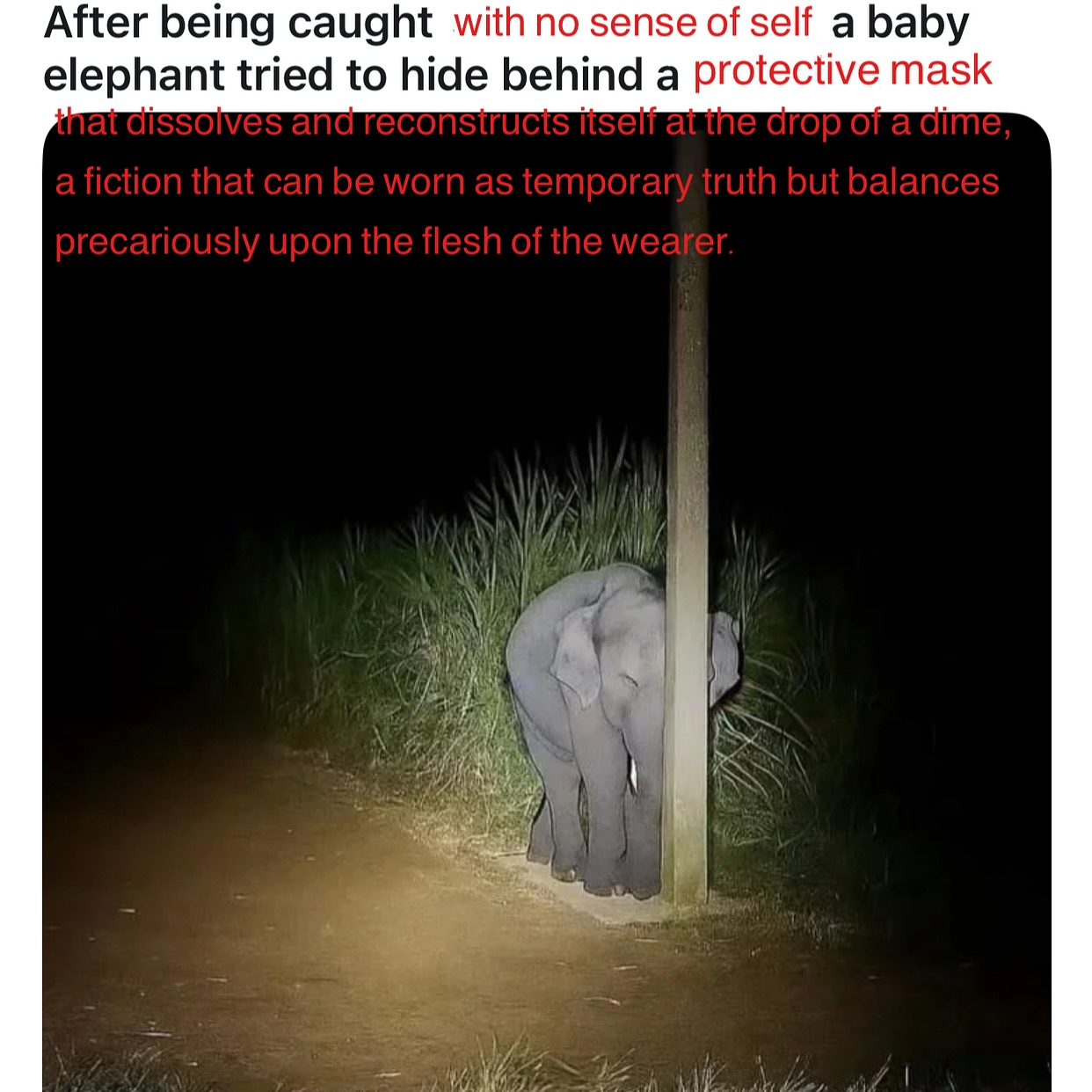 Meme of the Day 6.29.26